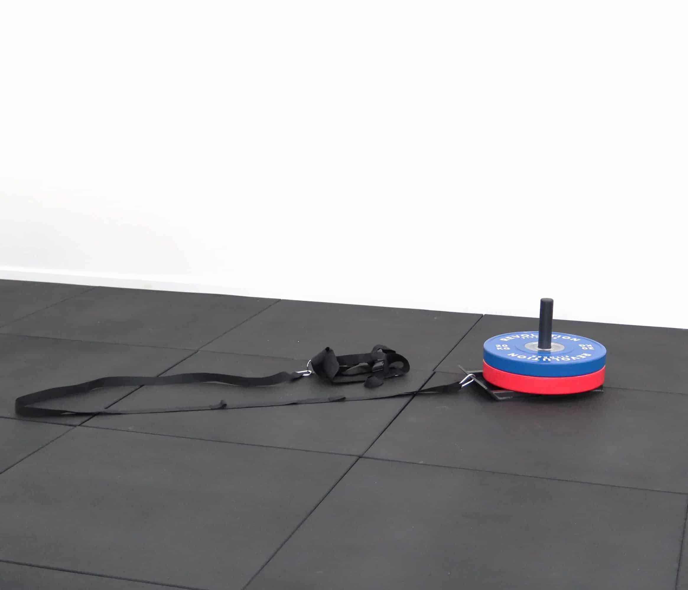 REVOLUTION GYM SLED WITH HARNESS - Image 3
