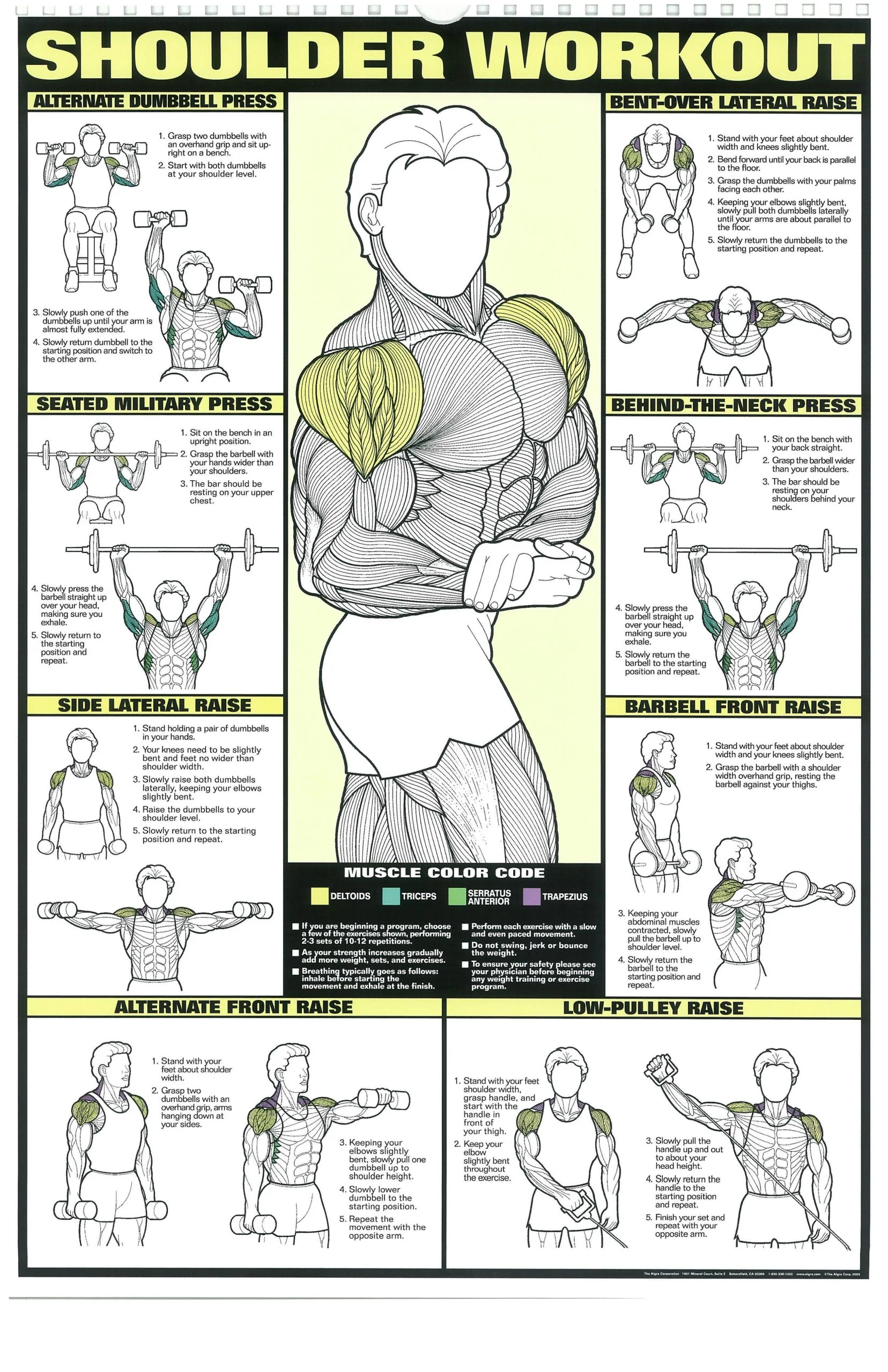 SHOULDER TRAINING POSTER
