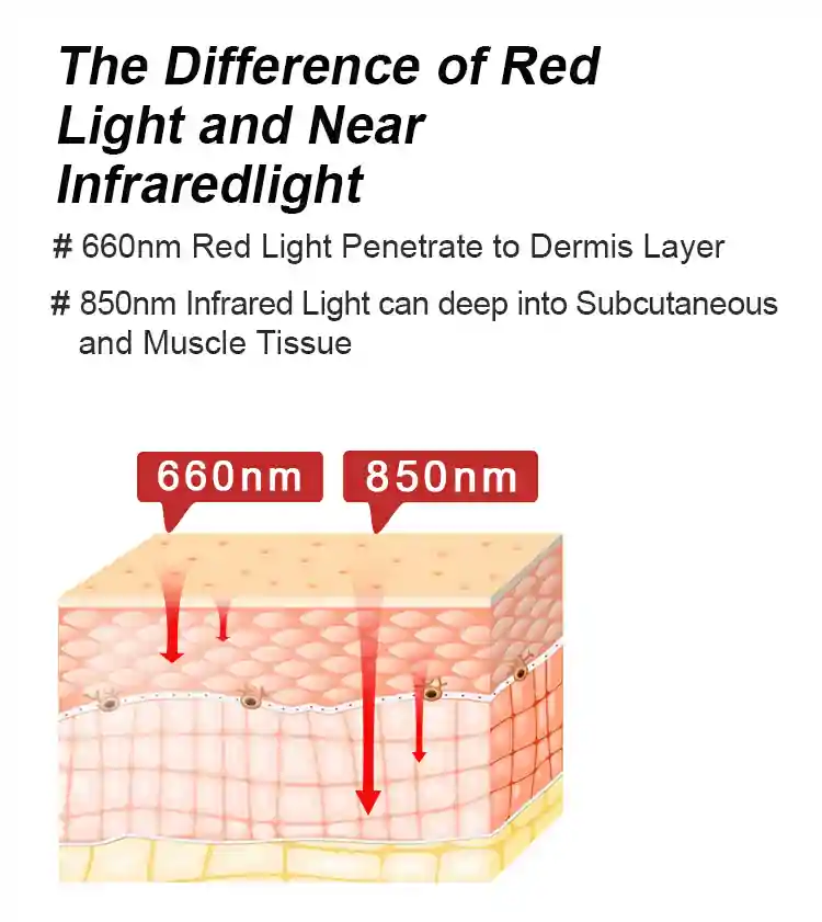 Z1 RED LIGHT CANOPY WITH STAND - Image 7